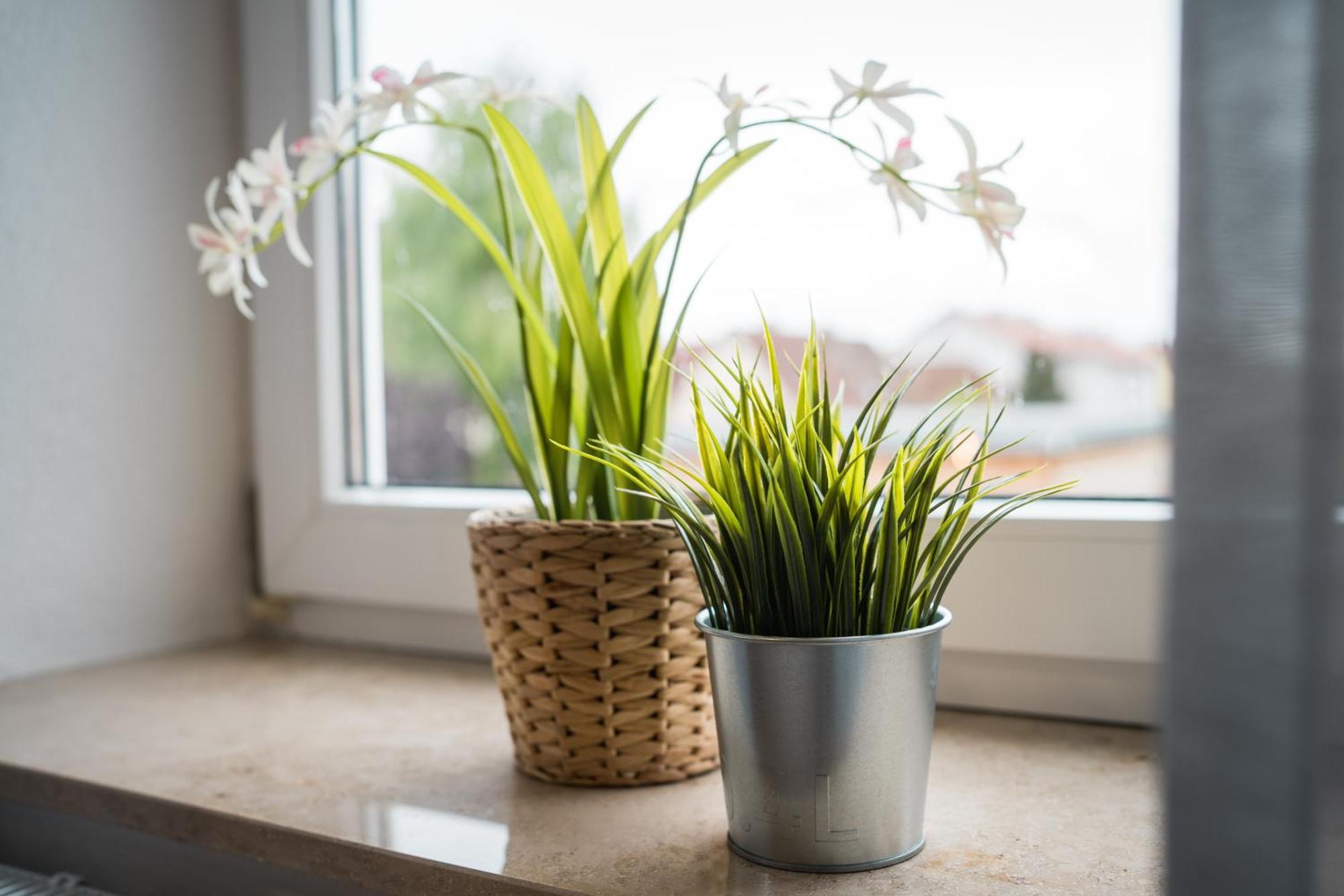 Doppelzimmer 1 - Neu Renoviert Dinkelsbühl Zewnętrze zdjęcie